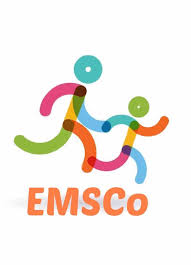 Spotkanie online w ramach projektu EMSCo - Enhancing Mentoring Skills Of Sport Coaches 23.07.2021